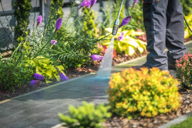Best Pool Deck Cleaning in Park River, ND